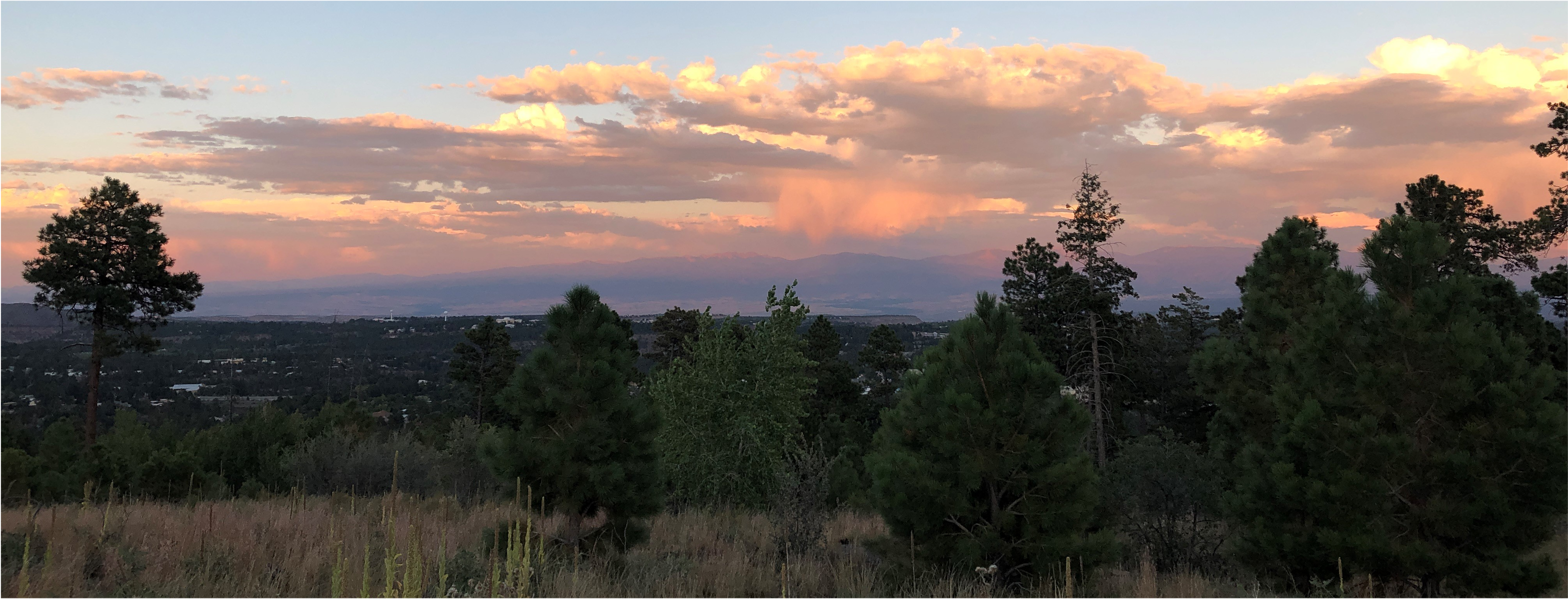 photo of sunset over the NM mountains with trees in the foreground