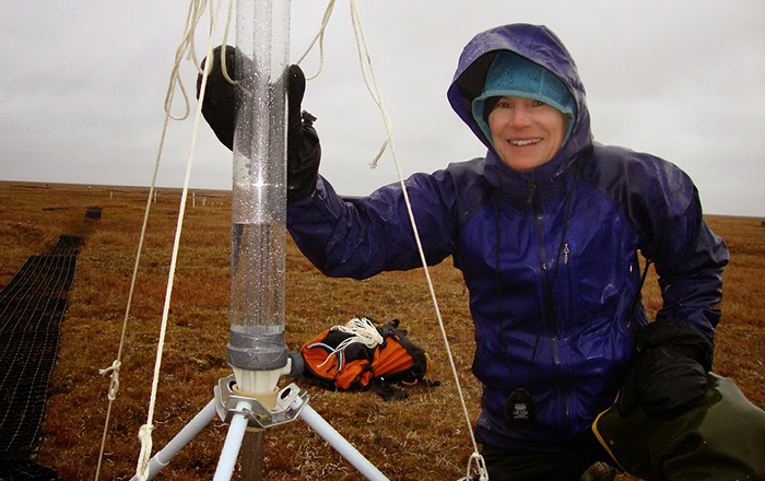 Scientist collects rainwater in field to measure ecosystems.