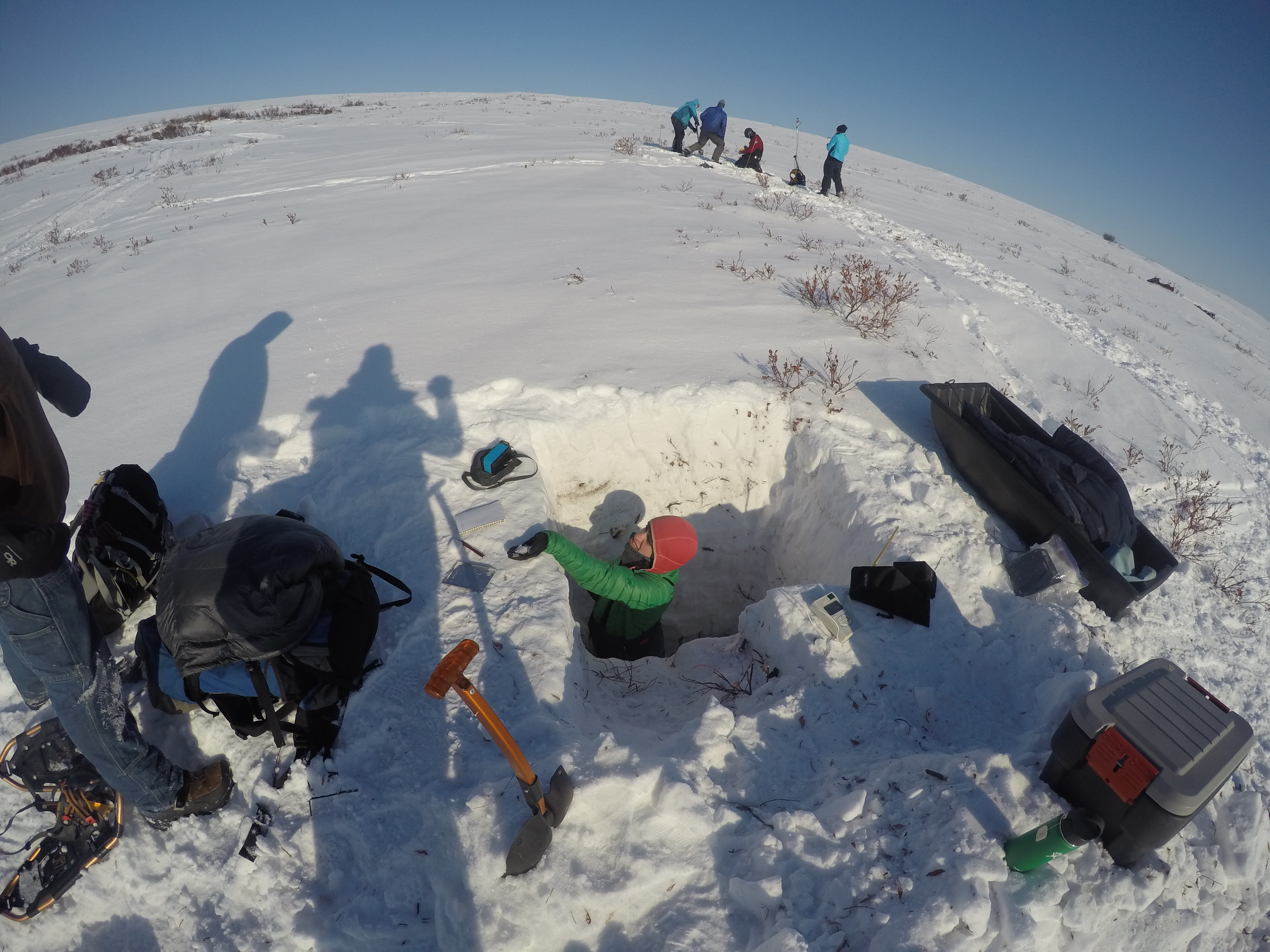  ACES team members sample snow pits to understand the climate-ecosystem-permafrost feedbacks as part of the Energy Department’s NGEE Arctic project.