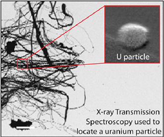 Figure 3. Students will learn about techniques such as x-ray transmission spectroscopy, which is a  powerful technique for locating materials of nuclear forensic interest within various matrices. 