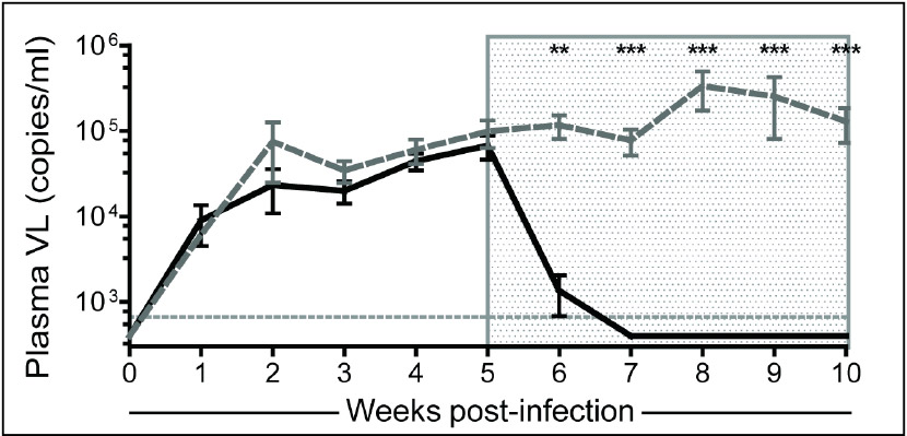 Longitudinal analysis of the plasma viral load in HIV-infected mice. 