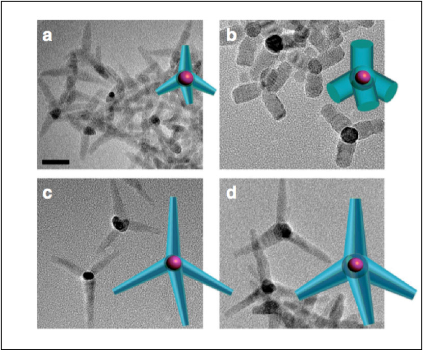 Transmission electron microscopy images for a nanoengineered tetrapod shape series composed of cadmium selenide in the core and cadmium sulfide in the arms