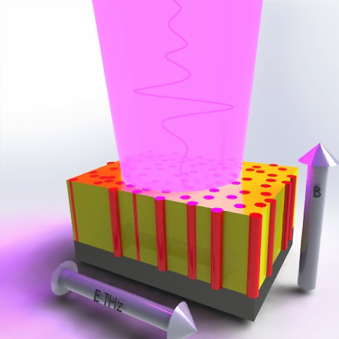 Schematic of a vertically aligned nanocomposite film and THz spectroscopy experiment. The figure depicts the directions of the applied dc magnetic field B, THz pulse propagation vector, and THz electric field ETHz.