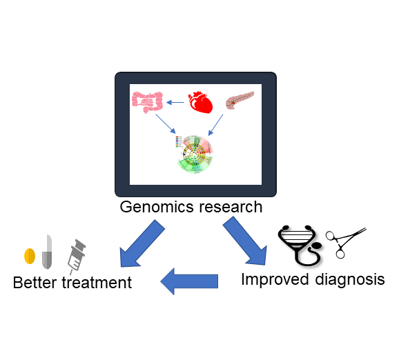 Enhancing medical treatments is tied to genomics research and advancements.